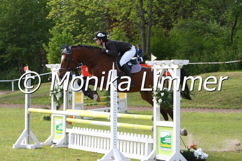 204M1525_Erebus Come Back_Spring_Ax.JPG